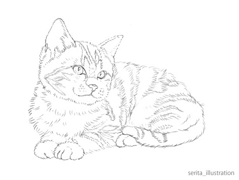 無料おとなの塗り絵】かわいい猫の下絵がダウンロードできます | serita-illustration